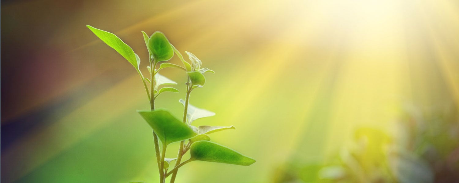 Sustainability_Software_Banner.jpg